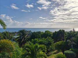 LaBelleVue Antigua Oceanview Suites and OnSite Car Rentals，位于Crosbies的酒店
