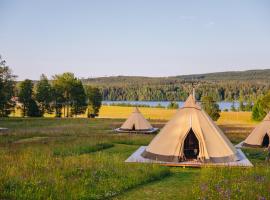 Förland Sunnemo，位于Sunnemo的酒店