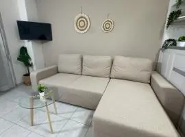 Nikolet apt 2
