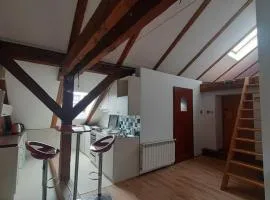 Loft przy Starym Mieście