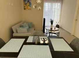 Beautiful apartment in Colonia Universidad