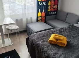 Modern studio near Airport with Self check-in
