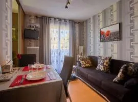 T1 bis rénové, balcon, Wifi - FR-1-841-67
