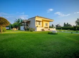 Villa Amarena