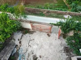 Golpo Bari