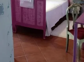 Il Nido del Pettirosso