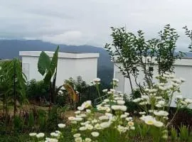 ภูศิโยน ม่อนแจ่ม