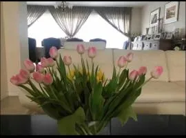 Mariadal villa