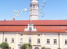 Apartament Rynek，位于博莱斯瓦维茨的酒店