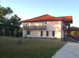 Agropensiunea Anovia，位于Aninişu din Deal的酒店