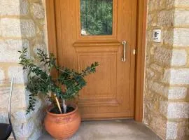 Prodromiti's House