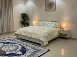 شقه بمدخل خاص وباب كراج