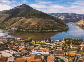 House Douro Panorama Valley，位于皮尼昂的酒店