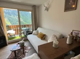 centre station incroyable appartement 2 chambres, Prestations et confort 4 étoiles, parking , terrasse vue panoramique, commerces et pistes à pieds, Tout pédestre, tout confort