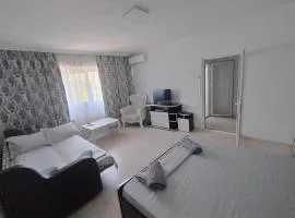 Nicoreb apartament 2