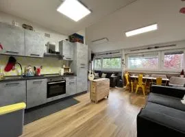 Piancavallo Loft - Garage & View