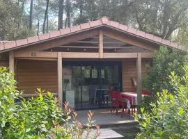 SUPERBE CHALET sous les pins