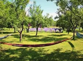 Casa rurală cu livadă LavAndra