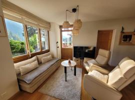 Appartement 01 Résidence Le Grand Combin à Champex，位于尚佩克斯的酒店