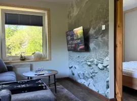 Piękne apartamenty z widokiem na góry , Sauna, kominek, darmowy parking , 5min od Zakopanego