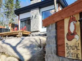 Le Renard Blanc - Spa and Incredible View