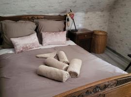 Quiet apartment in historic village，位于Oberbronn的酒店