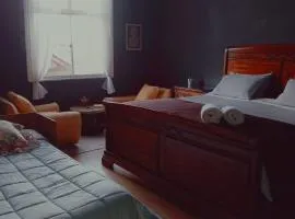 Habitación amplia y luminosa en cerro Concepción