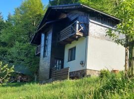 Під Боржавою，位于皮利佩齐的酒店