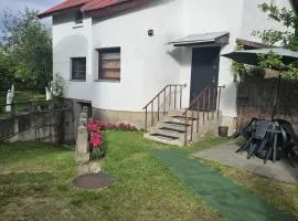 Ginto svetingi namai