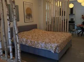 It Skildershûs Workum