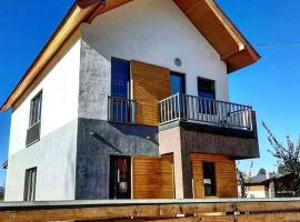 Villa in Bakuriani，位于巴库里阿尼的酒店