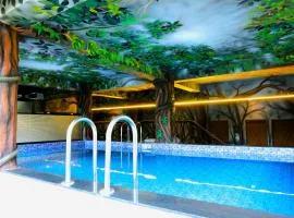 Misty Dale Luxury Resort & Spa