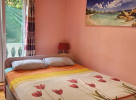 Porodicni Lux apartman，位于Tušupi的酒店
