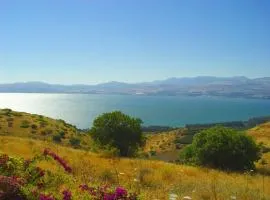 Country Style House Above the Sea Of Galilee