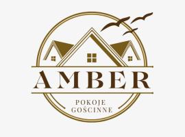 Pokoje Gościnne AMBER，位于辛安诺泽蒂的酒店