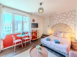 Rose Roanne centre-ville - Parking & Clim