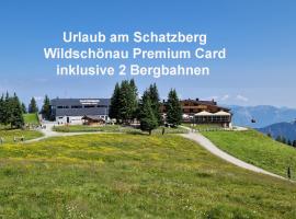 Berggasthof Schatzbergalm，位于Thierbach的酒店