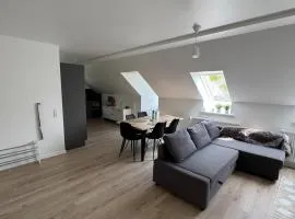 The Snowdrop - New Exclusive 4 bedroom house, up to 8 persons - 155m2 - Free Parking