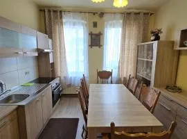 Central Apartment