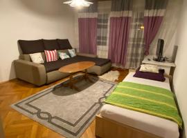 Apartman Pozoriste，位于图兹拉的酒店
