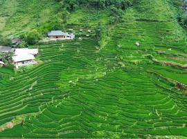 Bees Homestay Sapa & Trekking，位于老街市的酒店