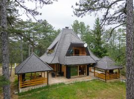 Apartman Crni bor 2 Tara，位于卡鲁德杰尔斯科巴尔的山林小屋