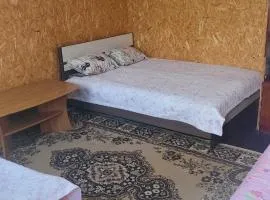 Боровое Домик в центре