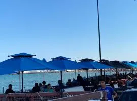 Habibi-Danydan-LaGoulette