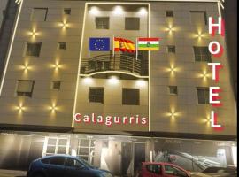 Hotel Calagurris，位于卡拉奥拉的酒店