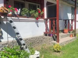 Casa Putna