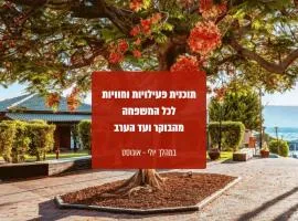 Daria- Authentic Israeli Experience
