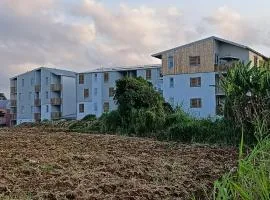 Appartement lumineux