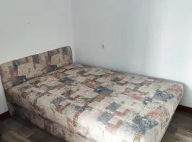 Pajić
