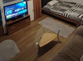 Cozy Private Room in Dresden